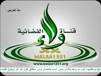 Walaa 1351